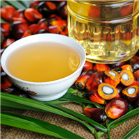Palm Oil