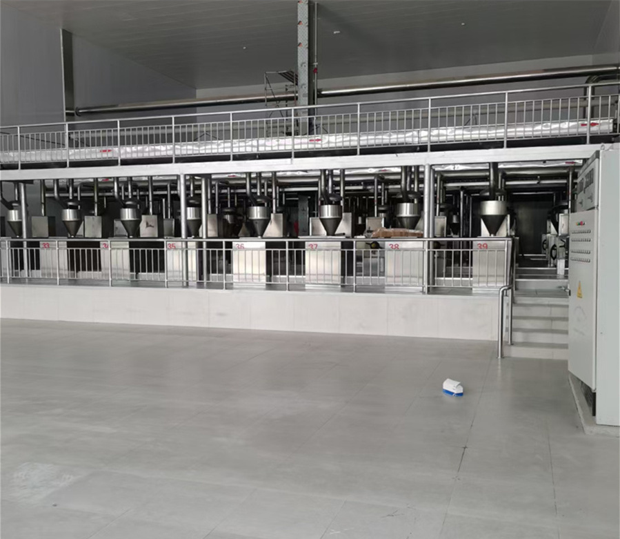 Sunflower seed pretreatment machinery