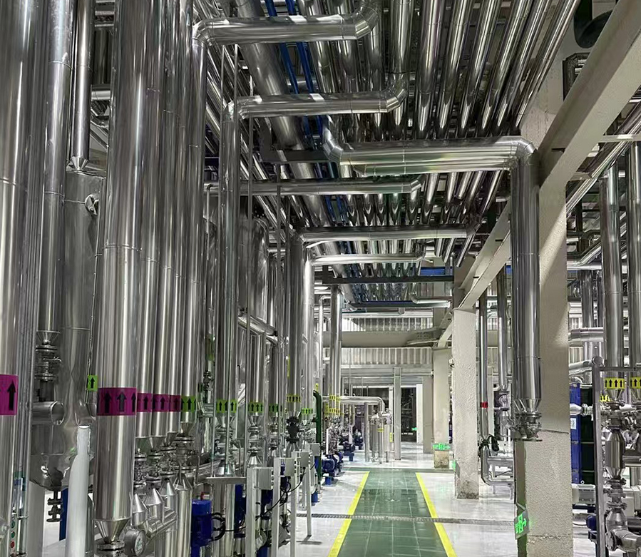 Avocado refining machinery