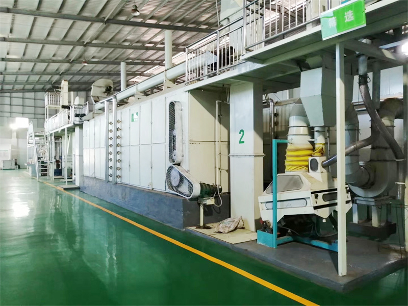 Walnut Oil Production Line